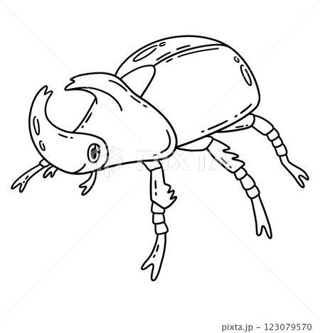 Insect Rhinoceros Beetle Animal Isolated Coloring Insect Rhinoceros Beetle Animal Isolated Coloring 123079570