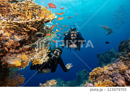 Scuba Divers Swimming in Deep Sea with Sunrays and Beautiful Coral Reef with Colorful Fishes Scuba Divers Swimming in Deep Sea with Sunrays and Beautiful Coral Reef with Colorful Fishes 123079705