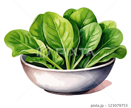 ボウルに入ったほうれん草の水彩風イラスト 生成AI ボウルに入ったほうれん草の水彩風イラスト 生成AI 123079753