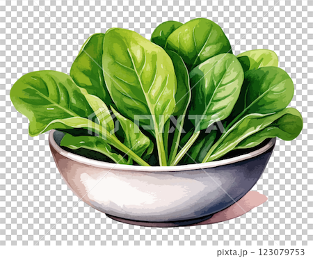 碗裡的菠菜水彩插圖 - AI生成 123079753