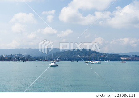 Calm waters reflect soft clouds as yachts float gently in a tranquil harbor, framed by rolling hills. This idyllic coastal setting invites relaxation and exploration under the midday sun. Calm waters reflect soft clouds as yachts float gently in a tranquil harbor, framed by rolling hills. This idyllic coastal setting invites relaxation and exploration under the midday sun. 123080111