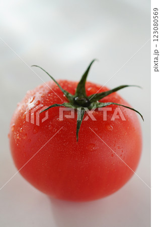水滴のついたトマト (白バック) 123080569