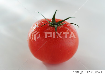 水滴のついたトマト (白バック) 123080571