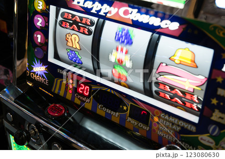 パチンコ スロット 遊技機 パチンコ スロット 遊技機 123080630