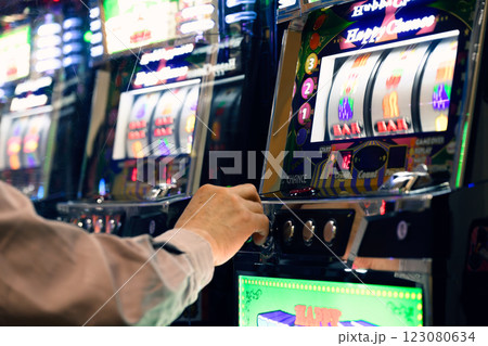 パチンコ スロット 遊技機 パチンコ スロット 遊技機 123080634