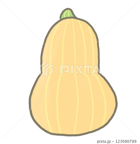 R:もっとメルヘンな野菜 バターナッツ・スクワッシュ① R:もっとメルヘンな野菜 バターナッツ・スクワッシュ① 123080789