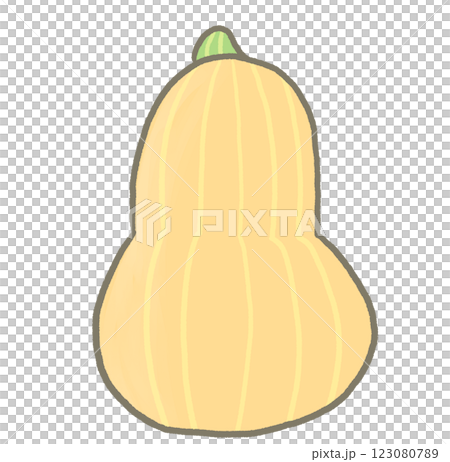 R:もっとメルヘンな野菜 バターナッツ・スクワッシュ① R:もっとメルヘンな野菜 バターナッツ・スクワッシュ① 123080789