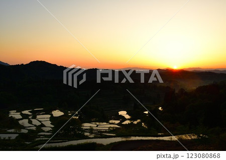 星峠の棚田 夜明け(新潟県) 星峠の棚田 夜明け(新潟県) 123080868