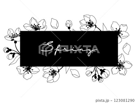 Background with spring flowers. Apple, sakura or cherry blossom. Beautiful decorative blooming plants. Background with spring flowers. Apple, sakura or cherry blossom. Beautiful decorative blooming plants. 123081290