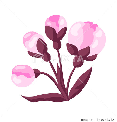 Illustration of spring flower buds. Apple, sakura or cherry blossom. 123081312