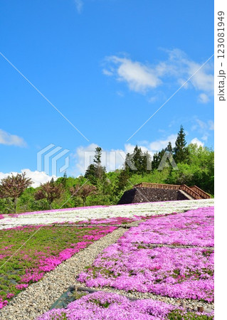 根小屋 花と緑と雪の里 芝桜(新潟県) 根小屋 花と緑と雪の里 芝桜(新潟県) 123081949