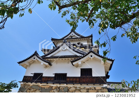 根小屋 花と緑と雪の里 芝桜(新潟県) 根小屋 花と緑と雪の里 芝桜(新潟県) 123081952