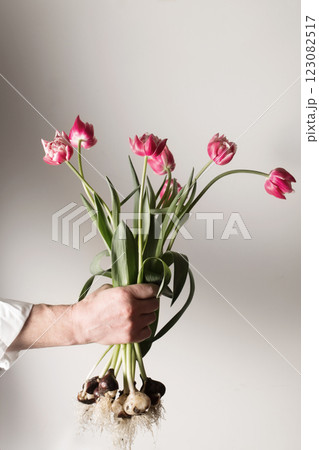 Man holding bouquet of pink tulips with bulbs on white Man holding bouquet of pink tulips with bulbs on white 123082517