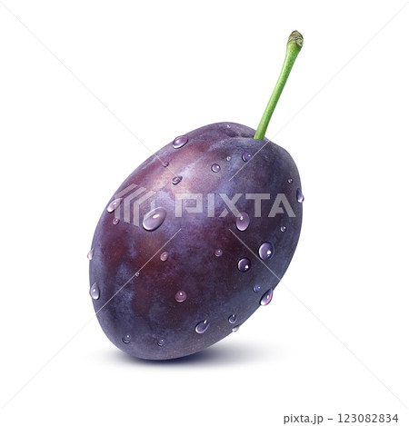プルーン イラスト リアル 123082834