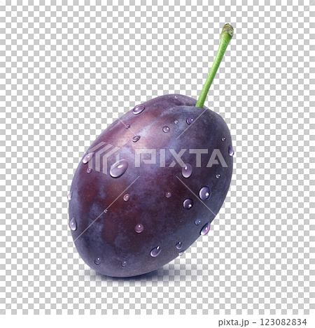 プルーン イラスト リアル 123082834