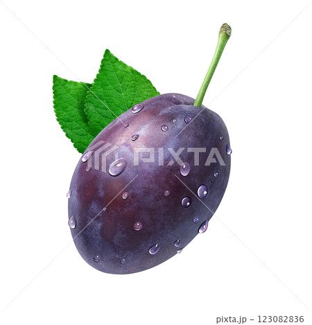 プルーン イラスト リアル 123082836