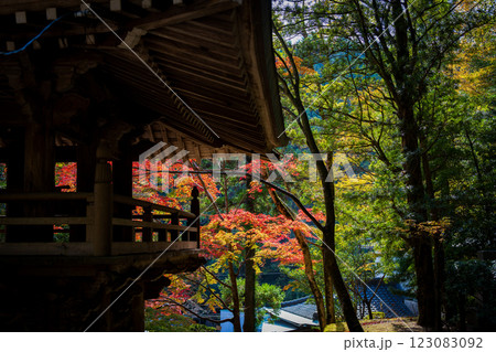 【第八十八番札所】大窪寺の紅葉【四国八十八箇所】 123083092