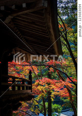 【第八十八番札所】大窪寺の紅葉【四国八十八箇所】 123083094