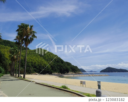 片添ヶ浜海浜公園(山口県周防大島町) 123083182