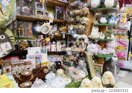 面白いレトロな雑貨屋さんのお店 面白いレトロな雑貨屋さんのお店 123083331