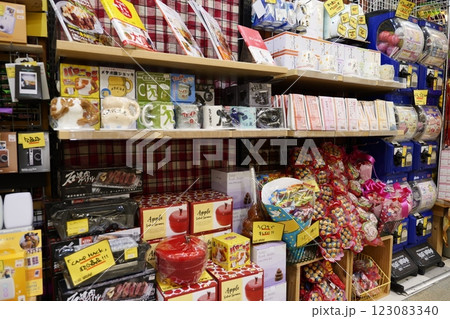 面白いレトロな雑貨屋さんのお店 面白いレトロな雑貨屋さんのお店 123083340