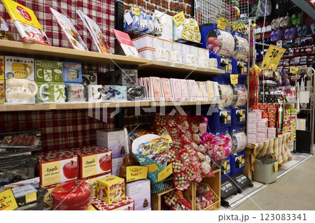 面白いレトロな雑貨屋さんのお店 面白いレトロな雑貨屋さんのお店 123083341