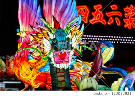 春節の飾り(ライトアップされた神獣のオブジェ) 春節の飾り(ライトアップされた神獣のオブジェ) 123083921