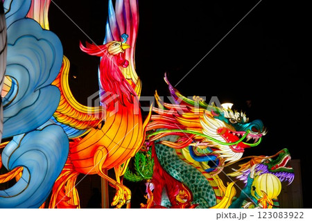 春節の飾り（ライトアップされた神獣のオブジェ） 123083922