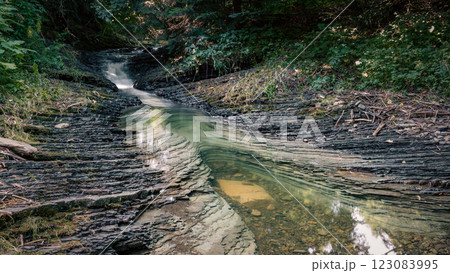 A small stream winds its way through the forest, with patches of green swirling in the clear water. 123083995