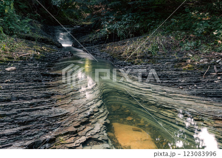 A small stream winds its way through the forest, with patches of green swirling in the clear water. A small stream winds its way through the forest, with patches of green swirling in the clear water. 123083996