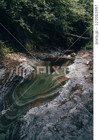 A small stream winds its way through the forest, with patches of green swirling in the clear water. 123083997