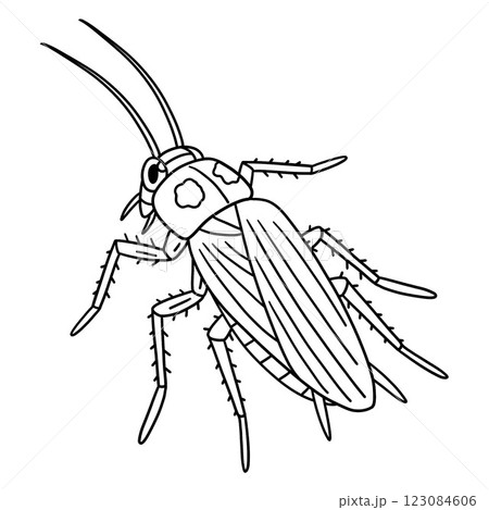 Insect Cockroach Animal Isolated Coloring Page  123084606