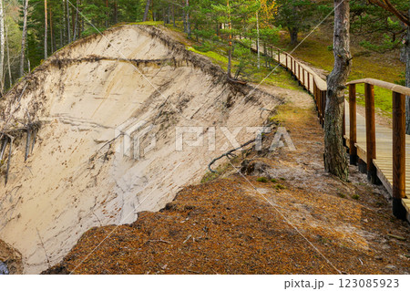 White Dune wooden boardwalk in Roja parish on the Baltic Sea coast, Latvia, seaside hiking trail White Dune wooden boardwalk in Roja parish on the Baltic Sea coast, Latvia, seaside hiking trail 123085923