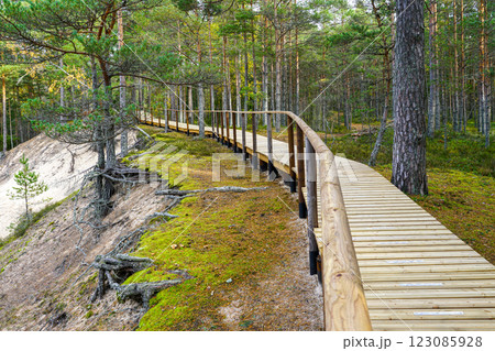 White Dune wooden boardwalk in Roja parish on the Baltic Sea coast, Latvia, seaside hiking trail White Dune wooden boardwalk in Roja parish on the Baltic Sea coast, Latvia, seaside hiking trail 123085928