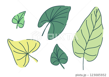 Hand drawn jungle ivy leaves set with tropical botanical elements. Vector illustration in modern minimal style. nature design for decoration print textile eco interior floral wedding invitation 123085932