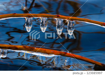 Icicles Gracefully Hanging from a Branch Above Calm and Tranquil Water Surface Nearby Icicles Gracefully Hanging from a Branch Above Calm and Tranquil Water Surface Nearby 123085997