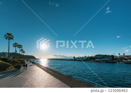 南の風を感じる海辺の遊歩道、眩しい太陽と青い海 123086463