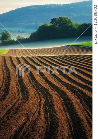 Efficient field irrigation system watering green crops,  vibrant and fresh agricultural scene. Efficient field irrigation system watering green crops,  vibrant and fresh agricultural scene. 123086702
