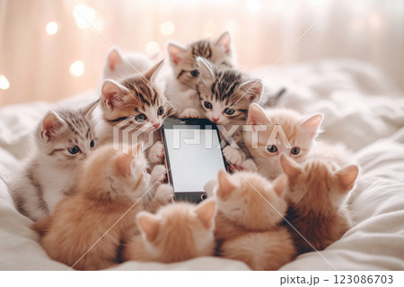 Curious kittens gather around a smartphone on a soft blanket in a cozy setting during daytime Curious kittens gather around a smartphone on a soft blanket in a cozy setting during daytime 123086703