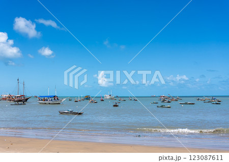 Traditional brazilian boats called Jangada near the famous fish market in Fortaleza, Ceara, Brazil Traditional brazilian boats called Jangada near the famous fish market in Fortaleza, Ceara, Brazil 123087611
