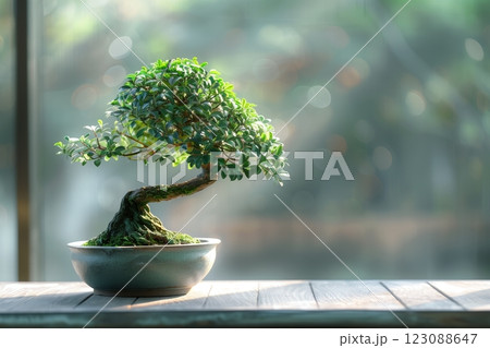 A serene bonsai tree presented in a ceramic pot, symbolizing tranquility and harmony. 123088647
