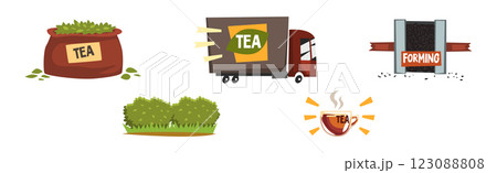 Tea Production and Process with Growing and Distribution Vector Set Tea Production and Process with Growing and Distribution Vector Set 123088808