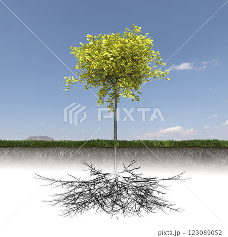 tree with strong and deep roots, 3d render tree with strong and deep roots, 3d render 123089052