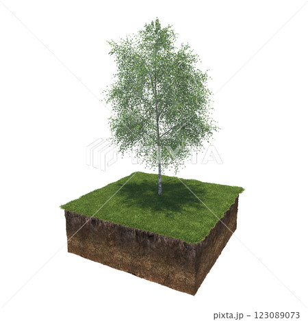 tree and soil cut under it. Isolated garden element, 3D illustration, cg render 123089073