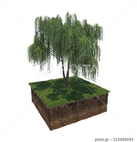 tree and soil cut under it. Isolated garden element, 3D illustration, cg render 123089085