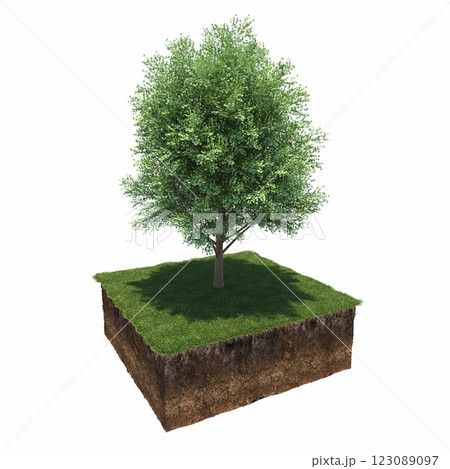 tree and soil cut under it. Isolated garden element, 3D illustration, cg render tree and soil cut under it. Isolated garden element, 3D illustration, cg render 123089097