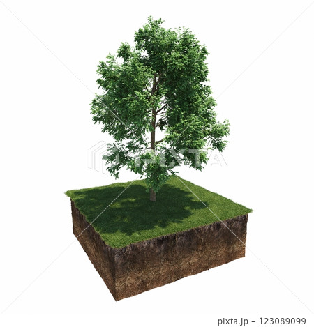 tree and soil cut under it. Isolated garden element, 3D illustration, cg render tree and soil cut under it. Isolated garden element, 3D illustration, cg render 123089099