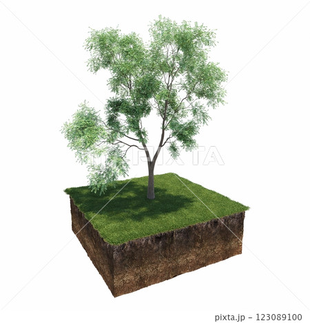 tree and soil cut under it. Isolated garden element, 3D illustration, cg render 123089100