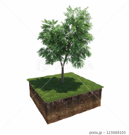 tree and soil cut under it. Isolated garden element, 3D illustration, cg render tree and soil cut under it. Isolated garden element, 3D illustration, cg render 123089103