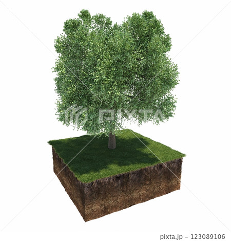 tree and soil cut under it. Isolated garden element, 3D illustration, cg render tree and soil cut under it. Isolated garden element, 3D illustration, cg render 123089106